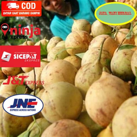 Jual Buah Pala Segar Kg Bulat Super Shopee Indonesia