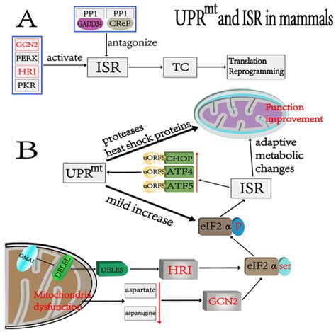 Cells Special Issue Sub Cellular Imaging Towards To Drug Discovery