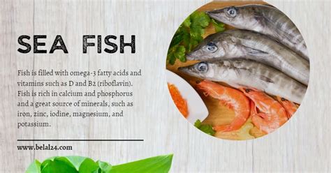 Best healthy benefits of sea fish | Belal24 BELAL24 Best healthy ...