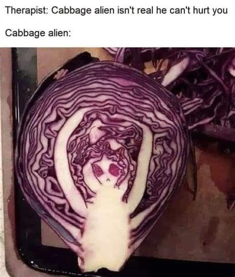 Best Cabbages Images On Pholder The Last Airbender Avatar Memes