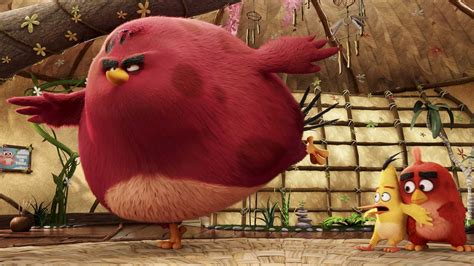 Meet the Characters from The Angry Birds Movie | Film & TV