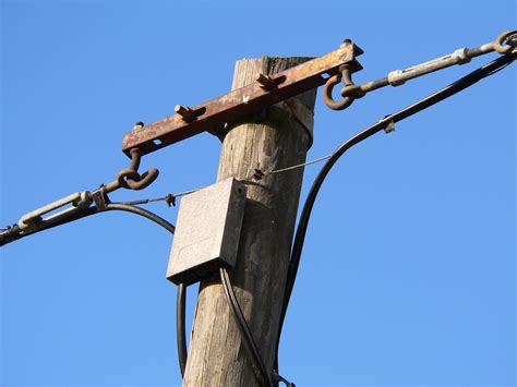 Free Images Tree Branch Sky Mast Blue Street Light Electricity