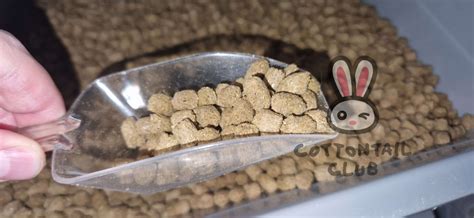 Best Rabbit Pellet Brands Nutritional Guide Cottontail Club