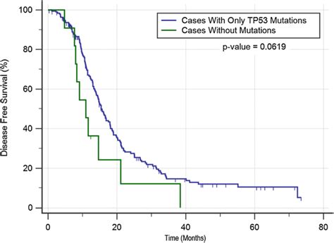 Tp53 Mutations As Potential Prognostic Markers For Specific Cancers