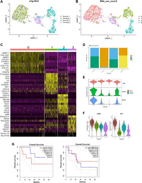 Frontiers Dissecting Cellular Heterogeneity And Intercellular