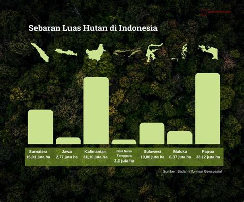 Hutan Papua dan Kalimantan Alami Deforestasi yang Tinggi - Forest Watch ...