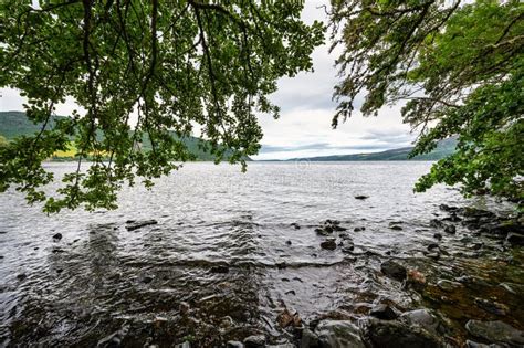 Shore Of Loch Ness In Scotland Full Of Vegetation And Trees Lake