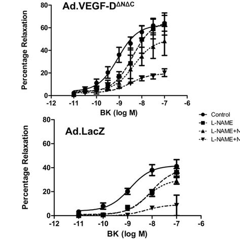 Vascular Reactivity Of Uterine Arteries 30 45 Days After Vector