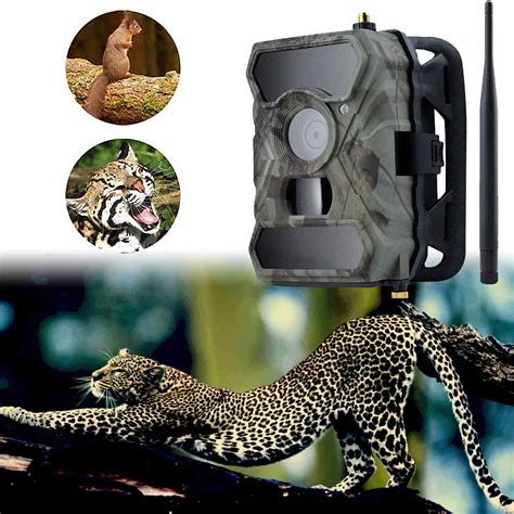 Aliexpress Buy S G G Wide Angle Hunting Camera Mp P