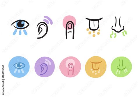 Hand Drawn Simple Icons Representing The Five Senses Stock Vector