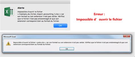 Impossible D Ouvrir Le Fichier Xlsx Car Son Format Ou Son Extension N