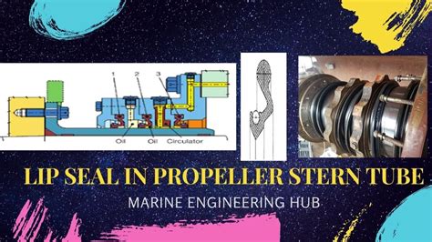 Lip Seal In Stern Tube Of Propeller Shaft Design Vulcanization Wear Adjustment Method Youtube