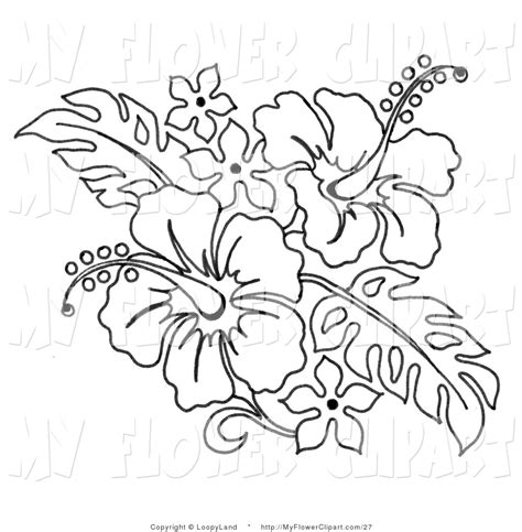 Hawaiian Flowers Drawing at GetDrawings | Free download