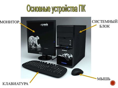 Презентация основные компоненты компьютера и их функции 7 класс босова