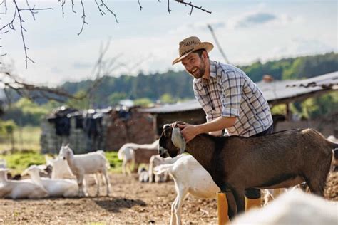 Financial Planning and Budgeting for Goat Farming Business