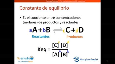 Que Es El Equilibrio Quimico