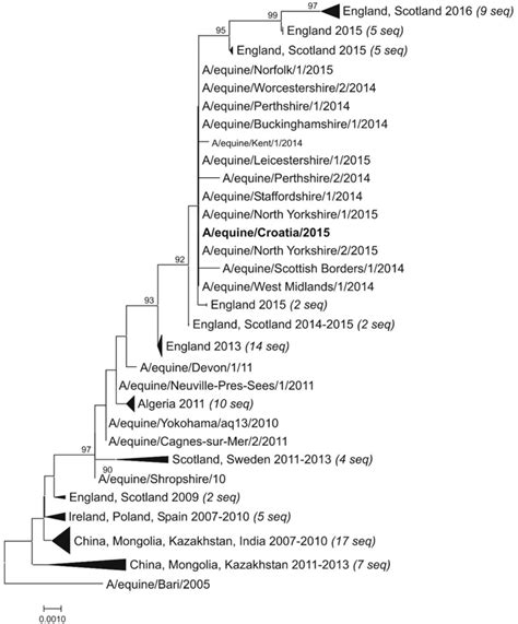 Phylogenetic Analysis Of The Hemagglutinin Ha Gene Segment Subtype Download Scientific