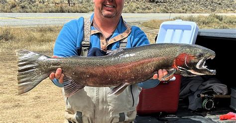 April 25: Upper Salmon River Weekly Steelhead Fishing Report | Idaho ...