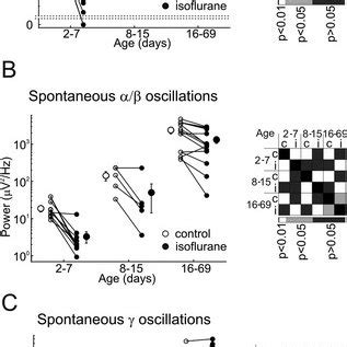 Age Dependence In The Effects Of Isoflurane On Spontaneous Activity