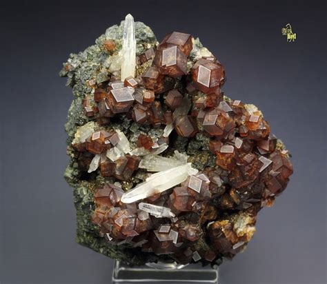 Quebul Fine Minerals GARNET Var ANDRADITE HEDENBERGITE QUARTZ