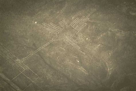 Nasca Lines Overflight With Lunch From Lima Getyourguide