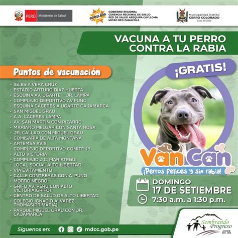 Gran Campaña De Vacunación Antirrábica Canina Vancan 2023 Municipalidad Distrital De Cerro