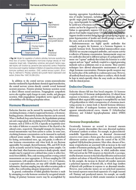 2020 Williams Textbook Of Endocrinology 14th Edition کتاب درسی غدد درون