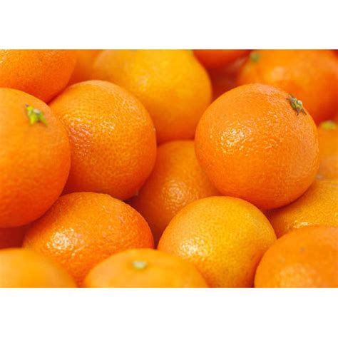 Oranges In Pune संतरे पुणे Latest Price And Mandi Rates From Dealers