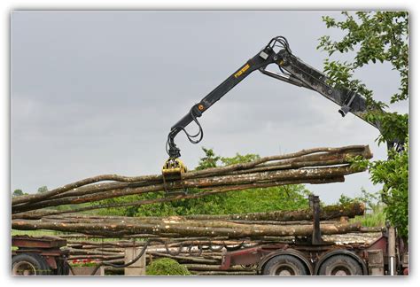 Bois De Chauffage Un Camion Grumier Livre Des Grumes En M Flickr