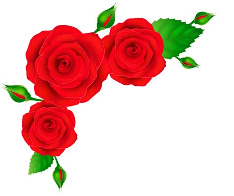 Rose Red Clip art - red rose border png download - 600*503 - Free Transparent Rose png Download ...