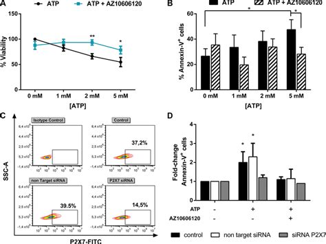 Atp Triggers Apoptosis Of Leukemia Cells From Aml Patients Via P X