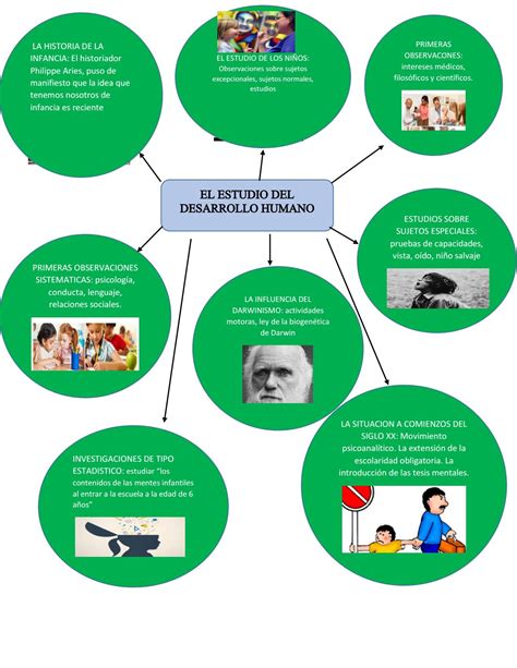 Mapa Mental Del Desarrollo Humano