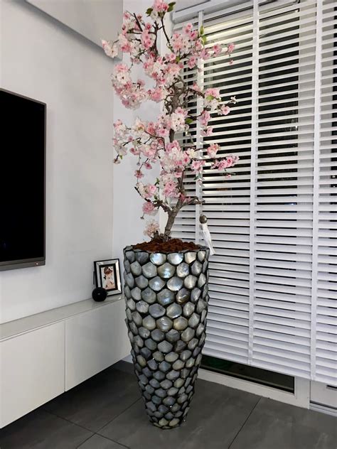 Schelpenvaas Met Bloesems Bloesem Bloesembomen Decoraties