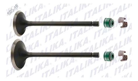 Kit Valvulas Motor Italika Dt125 Delivery 2017 2020