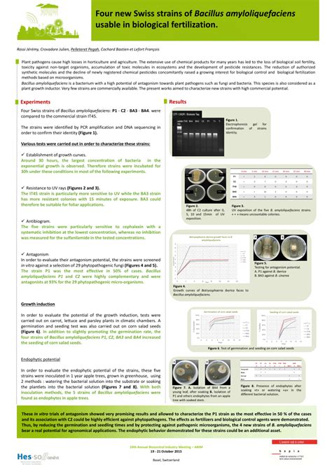 (PDF) Four new Swiss strains of Bacillus amyloliquefaciens usable in ...