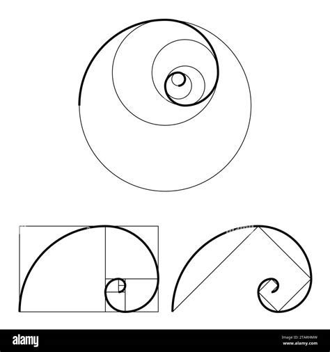 Conjunto De Plantilla Golden Ratio S Mbolo De Proporci N Elemento De