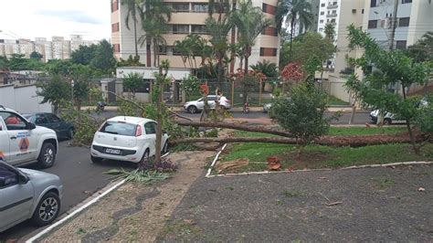 Cidade Ainda Vive Rescaldo De Limpeza E Reparos Ap S Tempestade Da