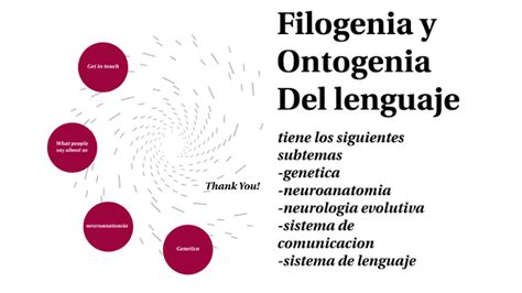 Filogenia Y Ontogenia By Jhonny Santiago Muños Diaz On Prezi