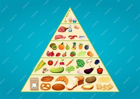 Premium Vector | Types of food chart