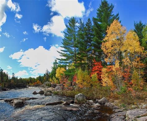 Razones Por Las Que Visitar Los Bosques De Canad En Oto O Loff It