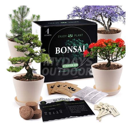 Wholesale Bonsai Tree Starter Kits Mydays Outdoor