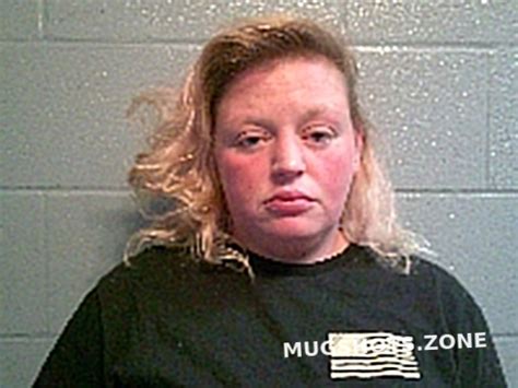 Mayes Nicole B Huron County Mugshots Zone