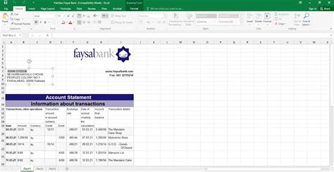 Pakistan Faysal Bank Statement Easy To Fill Template In Xls And Pdf