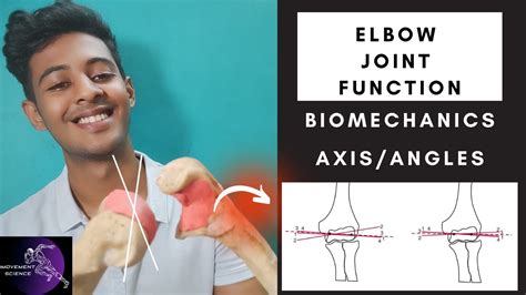 ELBOW JOINT FUNCTION AXIS AND ANGLES BIOMECHANICS Physiotherapy