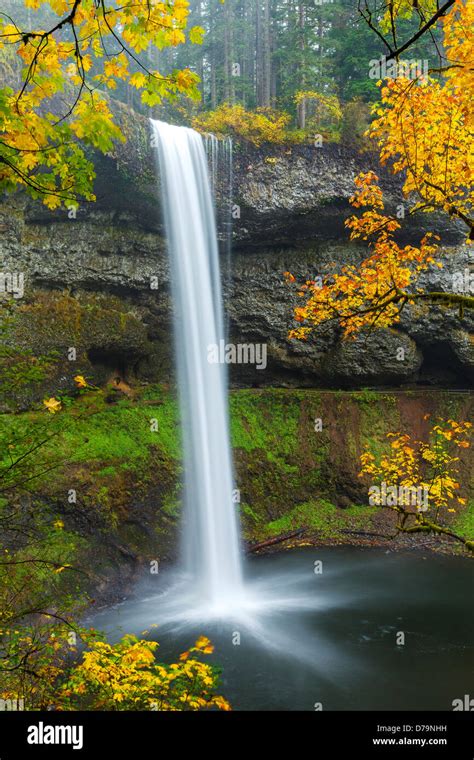 Silver Falls State Park Or South Falls Plunges Ft Over Basalt