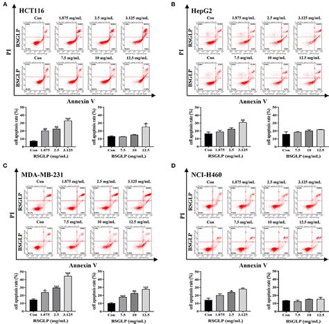 Frontiers Removing The Sporoderm From The Sporoderm Broken Spores Of