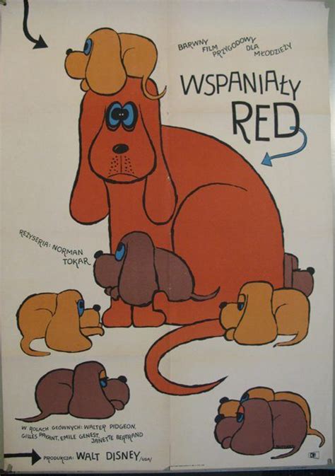 Wspanialy Red Polish Disney Film Great Red 1962 2275x3238in 250