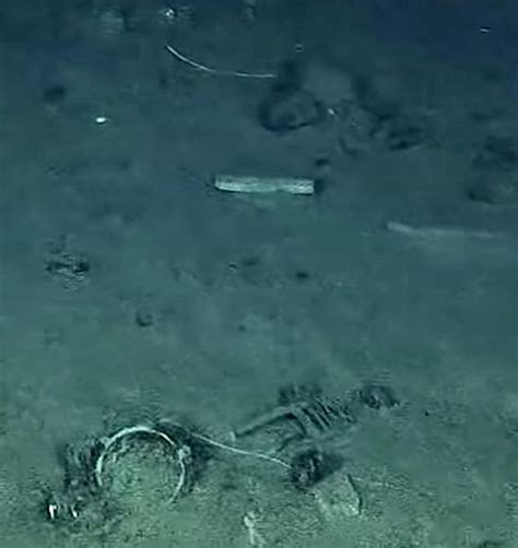 I Was Watching A Youtube Video Of The Debris Field Are Those Human Remains In The Bottom Of