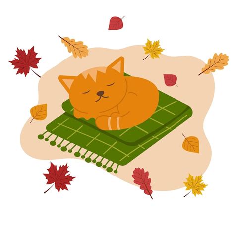 Premium Vector A Cat Sleeping On A Checkered Blanket Cozy Autumn