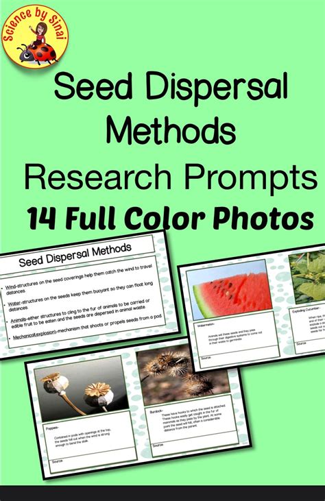 ️Seed Dispersal Methods Worksheets Free Download| Goodimg.co